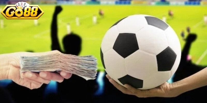 Áp dụng kinh nghiệm tăng tỷ lệ thắng lớn