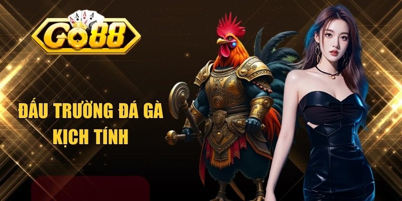 Đấu trường đá gà kịch tính